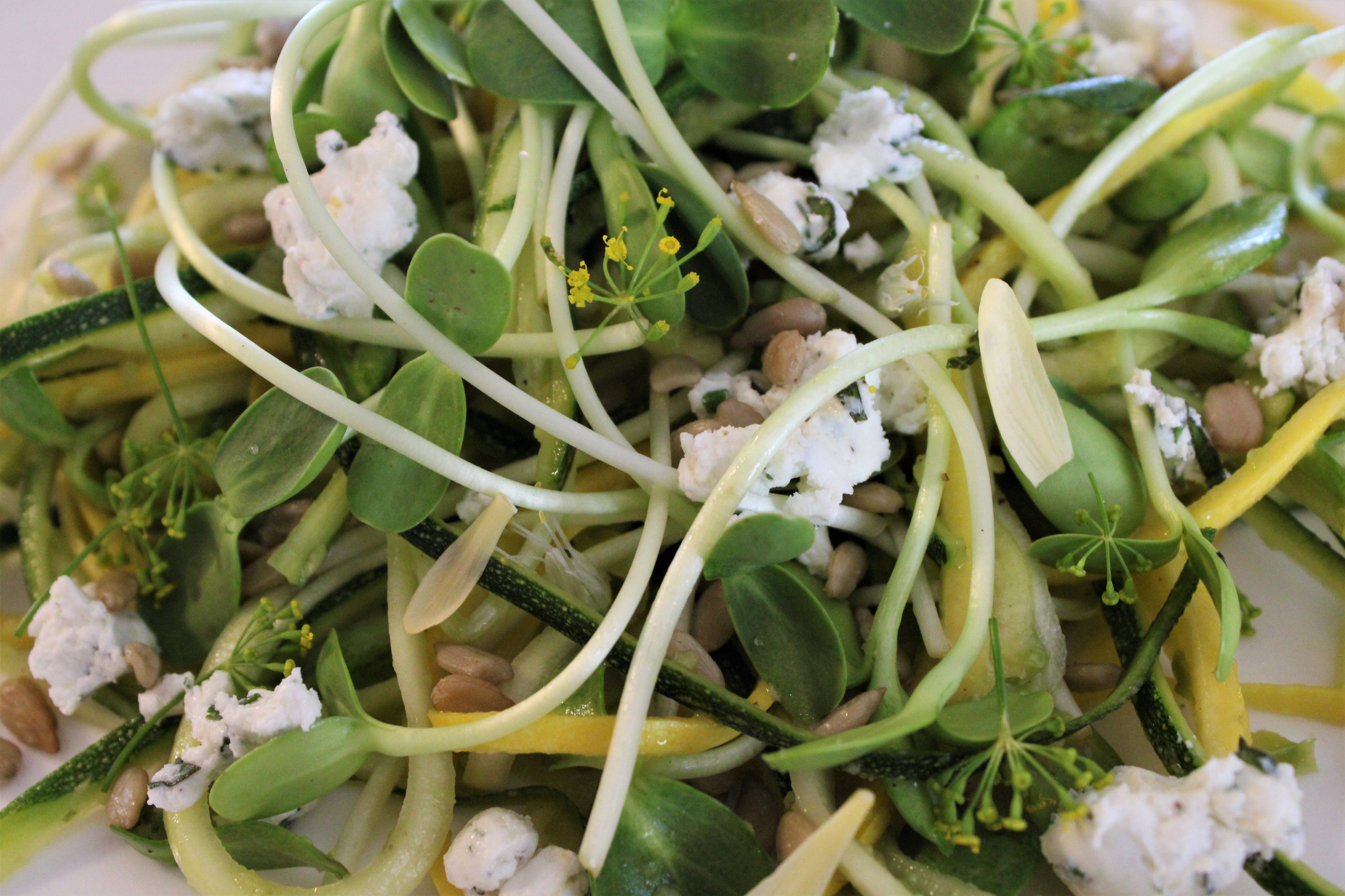 Zucchini Salad with Herb Goat Cheese